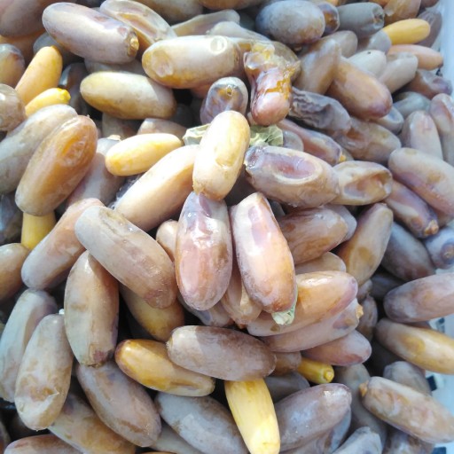 Shahani Dates