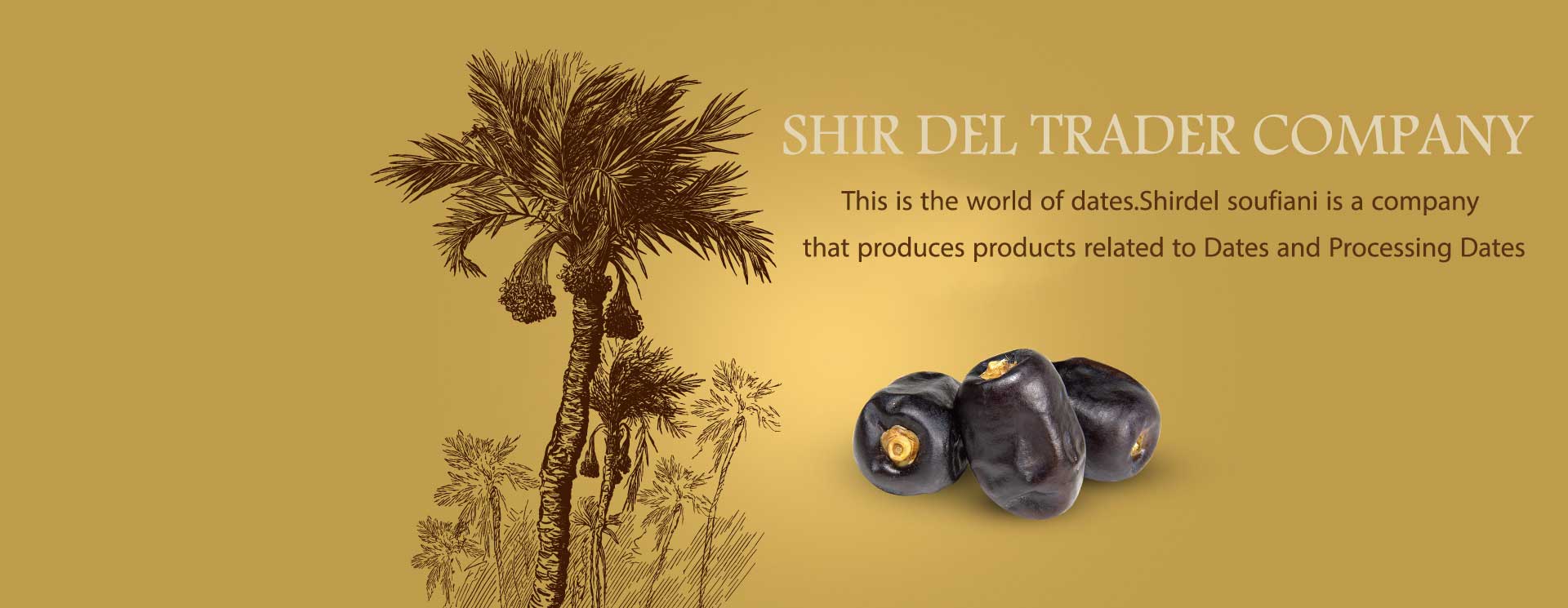 Shir Del Trader Company